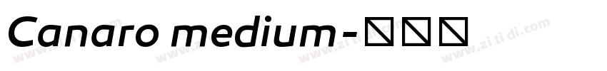 Canaro medium字体转换